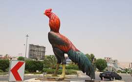 خودنمایی خروس لاری در مرکز شهر لار 