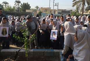 غرس ۲۴ نهال به یاد شهدای دانش‌آموز در لارستان / تداوم یاد شهیدان با شکوفه‌های امید